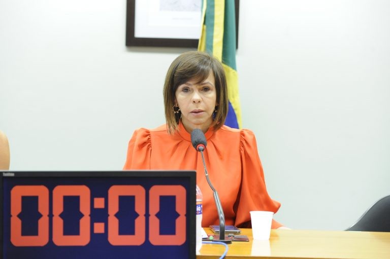 Dorinha Seabra quer debater regulamentação do ensino a distância - (Foto: Gustavo Sales/Câmara dos Deputados)