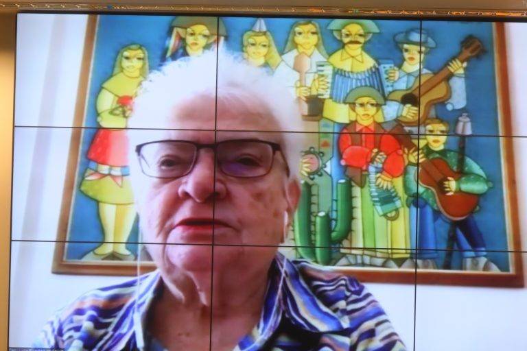 Luiza Erundina foi a primeira presidente da Comissão de Legislação Participativa - (Foto: Luis Macedo/Câmara dos Deputados)