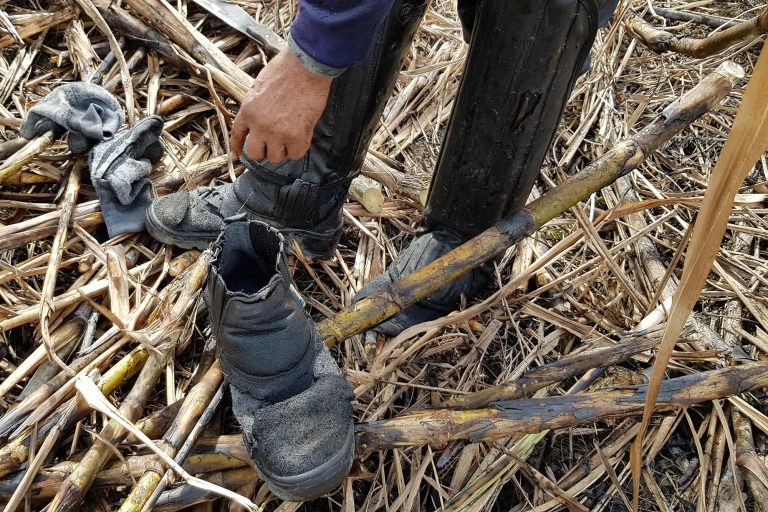 O trabalho análogo à escravidão ainda é uma realidade no Brasil - (Foto: Divulgação/MPT)