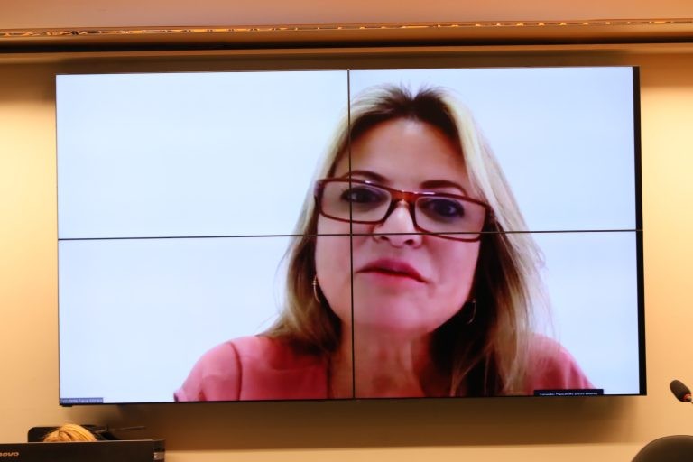 Flávia Morais: algumas das ações previstas no texto original já estão em vigor - (Foto: Cleia Viana/Câmara dos Deputados)