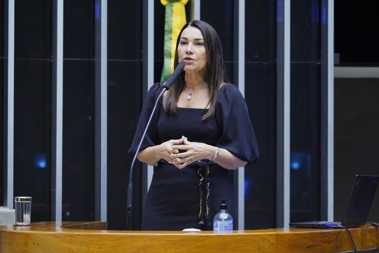 Para Margarete Coelho, medida pode evitar procedimentos irregulares - (Foto: Pablo Valadares/Câmara dos Deputados)