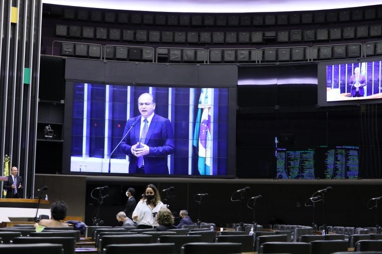 Votações na Câmara estão sendo realizadas remotamente - (Foto: Najara Araujo/Câmara dos Deputados)
