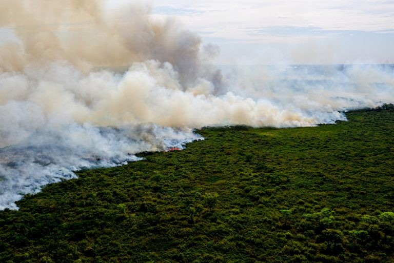 Um dos projetos que devem ser votados é o que cria uma Política Nacional de Manejo Integrado do Fogo - (Foto: Mayke Toscano/Governo de Mato Grosso)