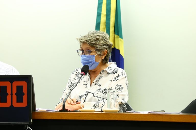 A deputada Erika Kokay é a relatora da proposta na Comissão de Trabalho - (Foto: Luis Macedo/Câmara dos Deputados)