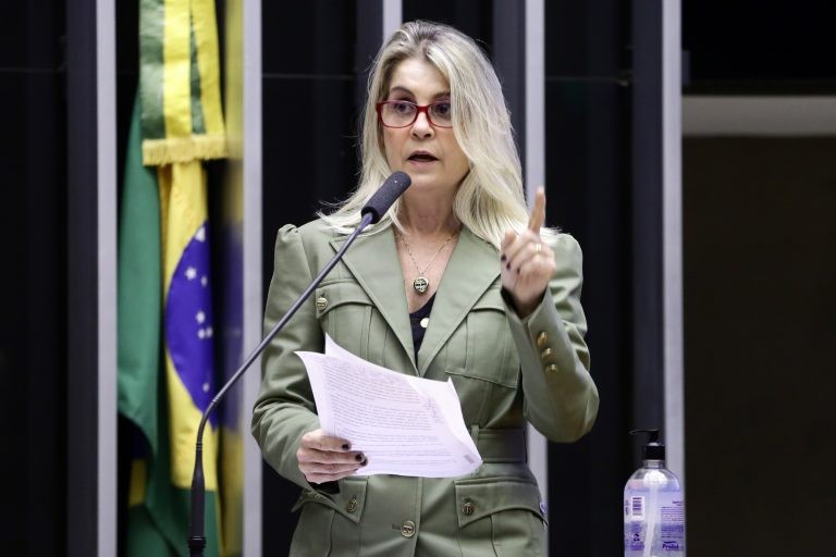 Dra. Soraya Manato: proposta preenche uma lacuna da lei - (Foto: Najara Araujo/Câmara dos Deputados)
