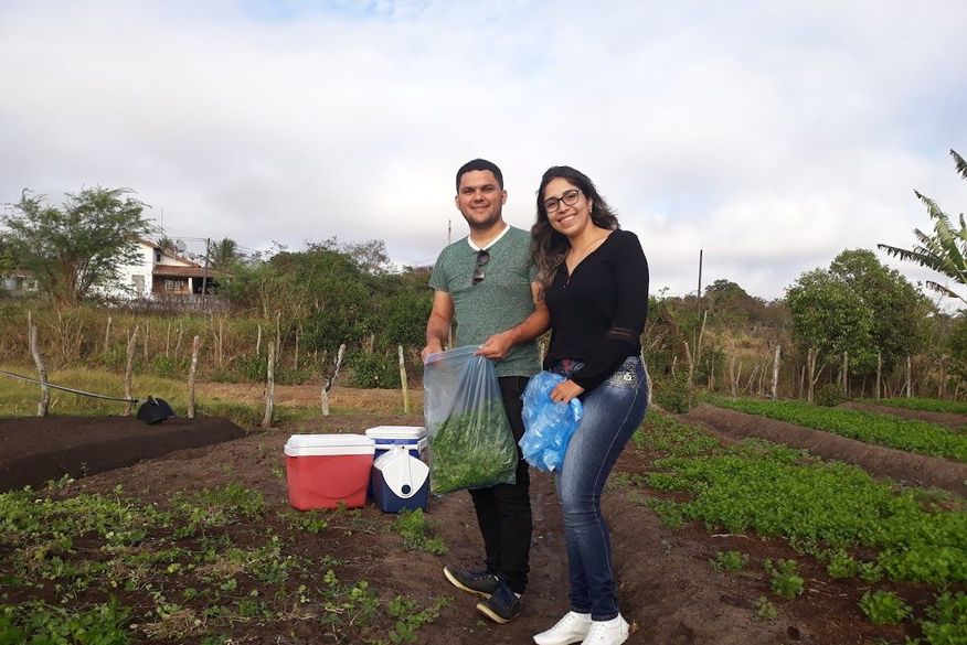 De acordo com Ricardo Dias de Castro, a exploração do coentro com finalidade medicinal representa importante estratégia para promoção do desenvolvimento econômico e social regional. (Foto: reprodução)