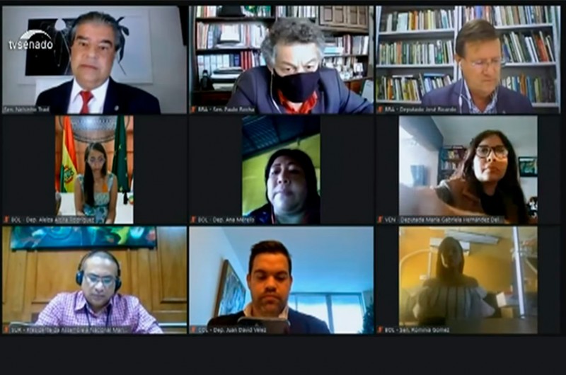 Parlamentares de países da região amazônica durante reunião remota no ano passado - Reprodução/TV Senado