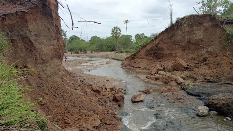 Foto: Reprodução/TV Correio