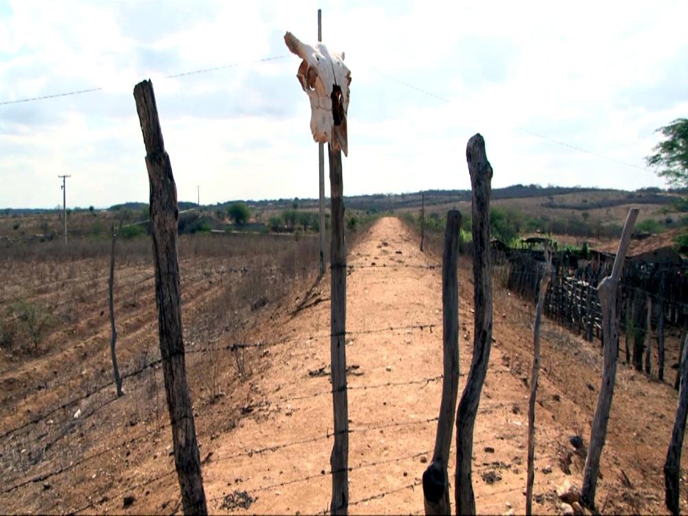 Foto: Reprodução/TV Correio