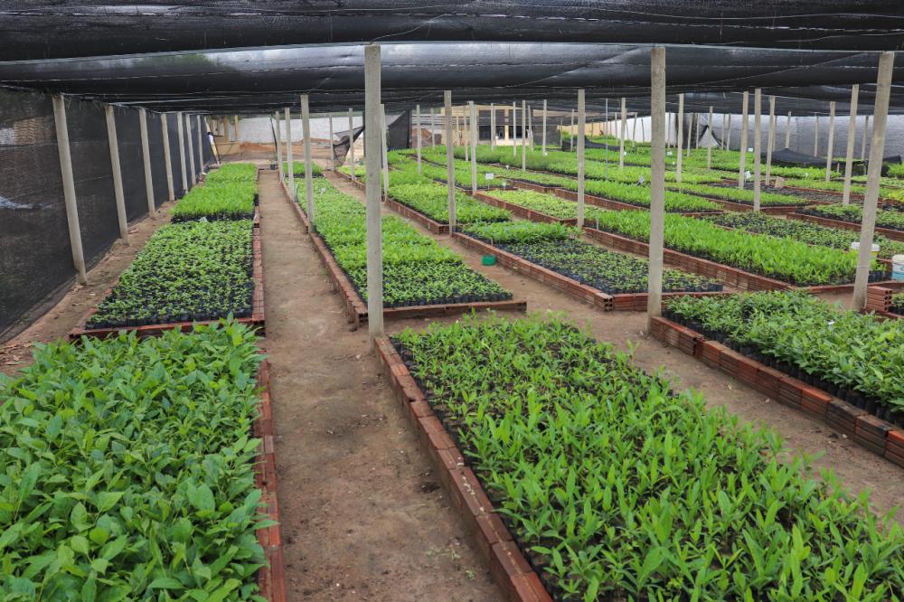 Foto: Divulgação/Afink