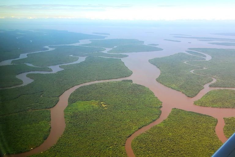 Colegiado reúne oito países para preservar a Amazônia - (Foto: Bruno Cecim/Agência Pará)