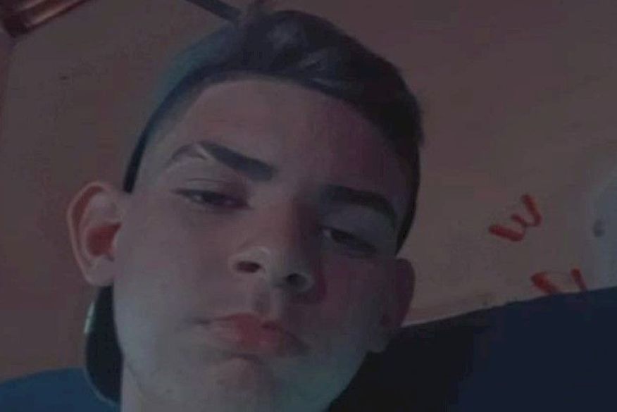 Ele não sabia que a cerca estava eletrificada e foi atingido por uma descarga elétrica. (Foto: Reprodução)