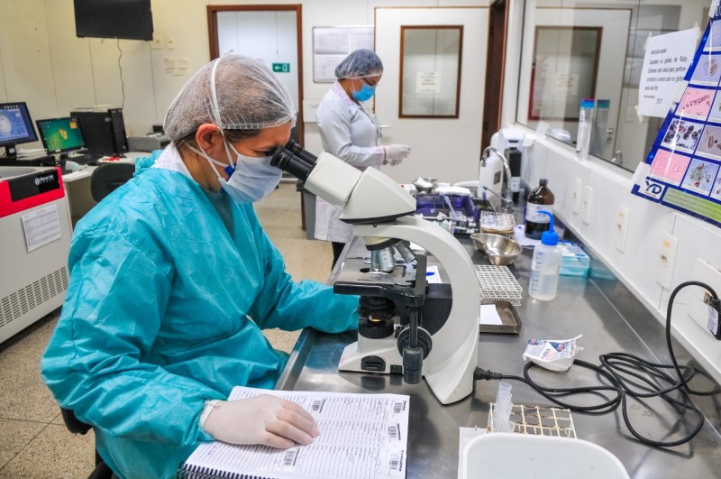 Debora Cronemberger Mendes Pereira