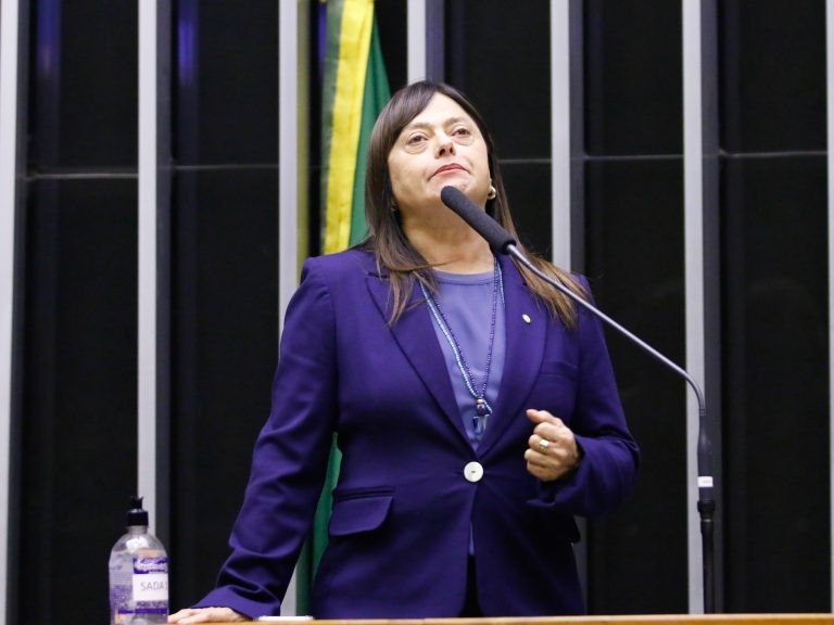 Alice Portugal pediu a criação de um fundo específico para o setor - (Foto: Marina Ramos/Câmara dos Deputados)