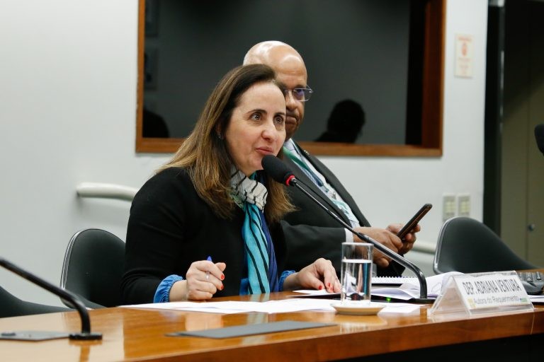 Adriana Ventura: proposta estimula o controle social dos tribunais de contas - (Foto: Elaine Menke/Câmara dos Deputados)