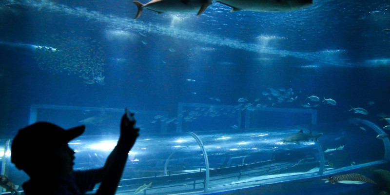 © Tânia Rêgo/Agência Brasil