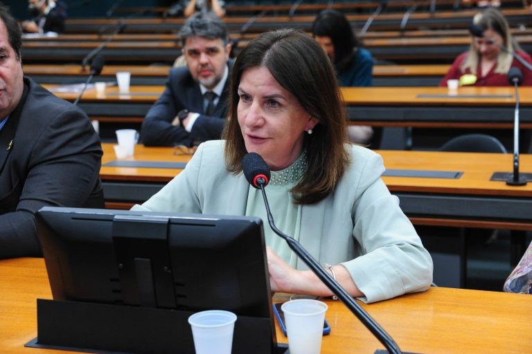 Carmen Zanotto recomendou a aprovação da proposta - (Foto: Billy Boss/Câmara dos Deputados)