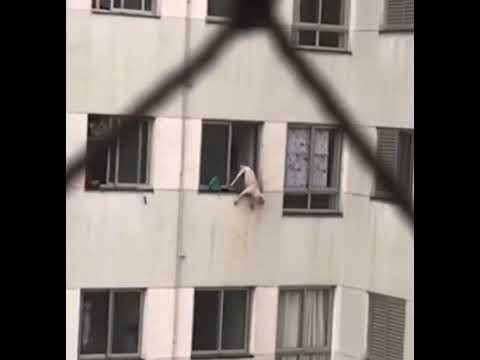 Cachorro é resgatado após ficar pendurado em janela no 10° andar de prédio em São José dos Campos